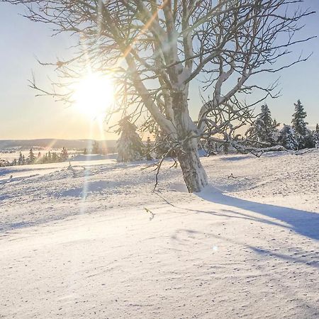 Cozy Home In Sjusjoen With Kitchen Екстер'єр фото