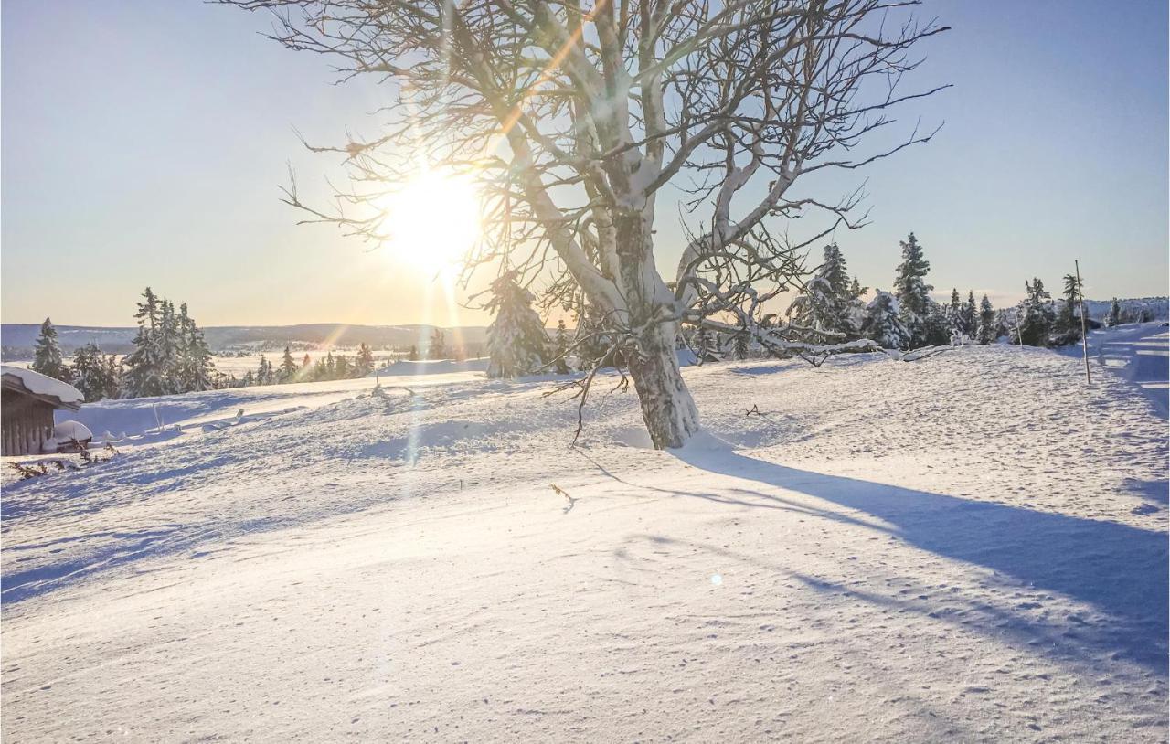 Cozy Home In Sjusjoen With Kitchen Екстер'єр фото